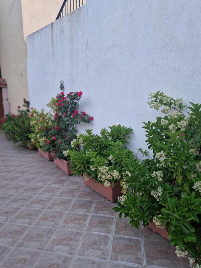 Afroditi's 1 Ferienhaus Eresos (Lesbos)